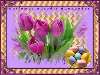 Tojások és tulipán Nézve:2878 Küldve:8