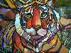 festett tigris.jpg Nézve:455 Küldve:2