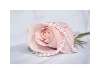 rózsaszín rózsa gyönggyel 2.jpg Nézve:508 Küldve:10