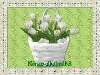 Egy kosár fehér tulipán Nézve:4199 Küldve:37