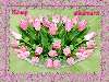 Rózsaszín tulipáncsokor Nézve:3518 Küldve:114