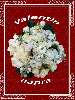 Fehér rózsák Nézve:1863 Küldve:14