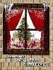 Ablakban karácsonyfa kintről nézve Nézve:8822 Küldve:17